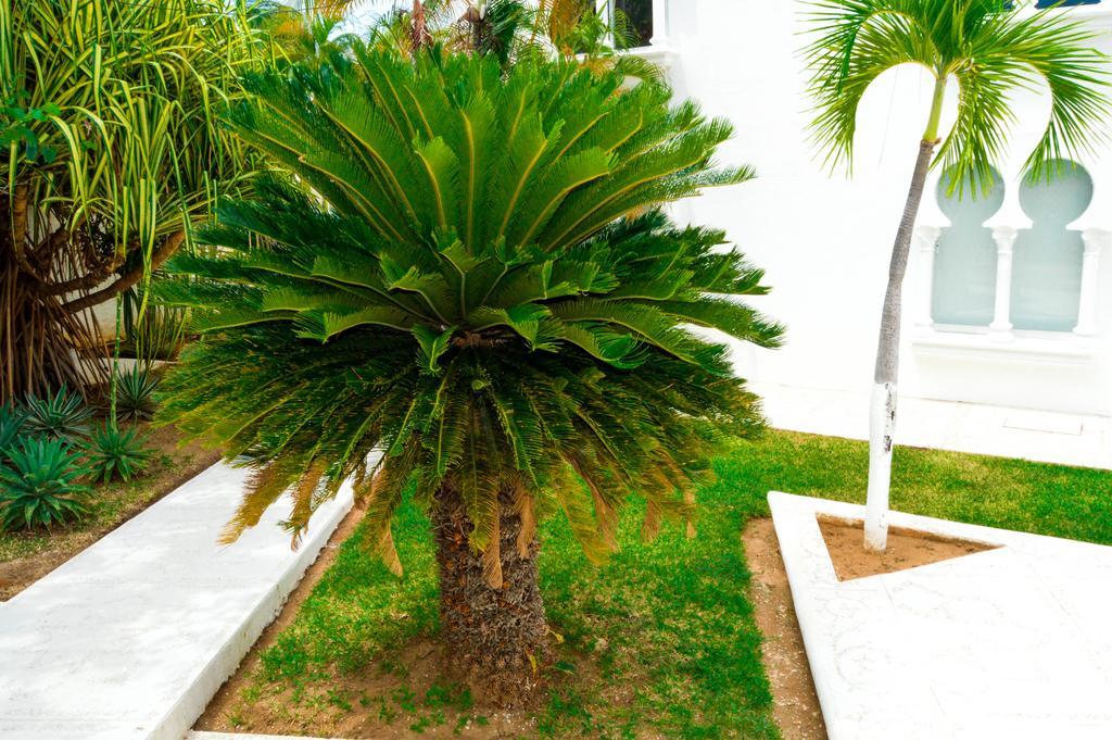 Hotel Aldea Del Bazar & Spa Puerto Escondido  Exterior foto